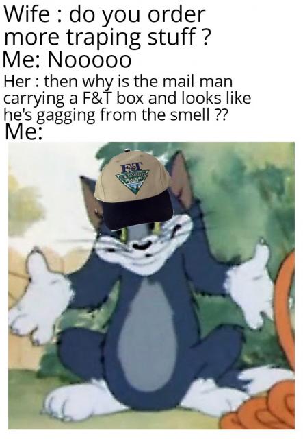 [Linked Image]