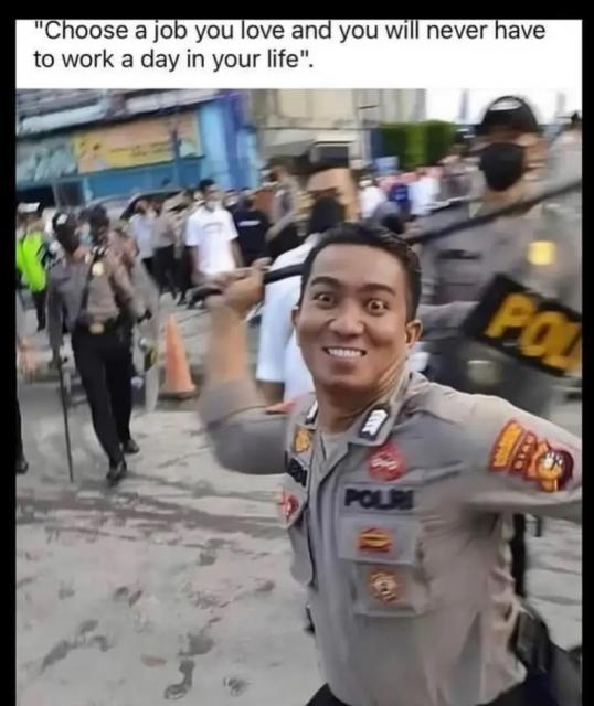 [Linked Image]