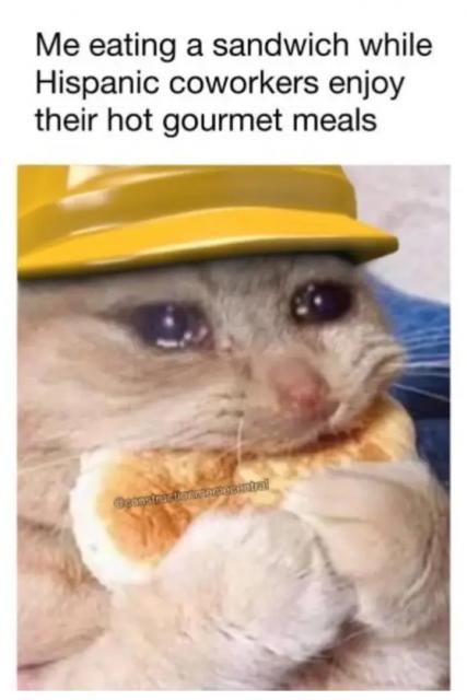 [Linked Image]