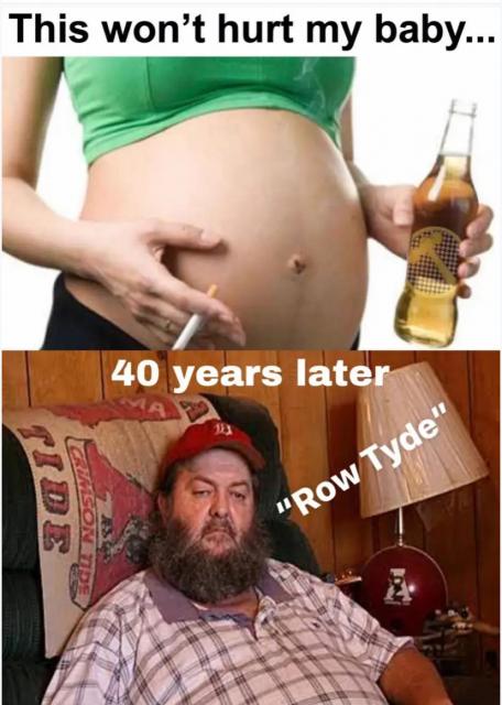 [Linked Image]