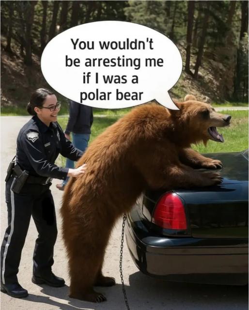 [Linked Image]