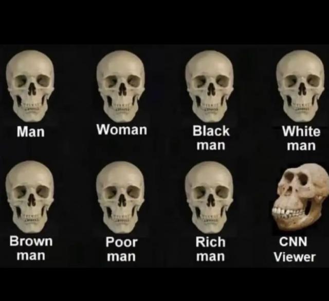 [Linked Image]