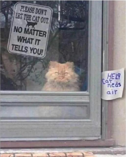 [Linked Image]
