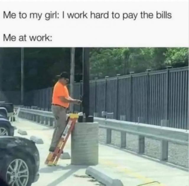 [Linked Image]