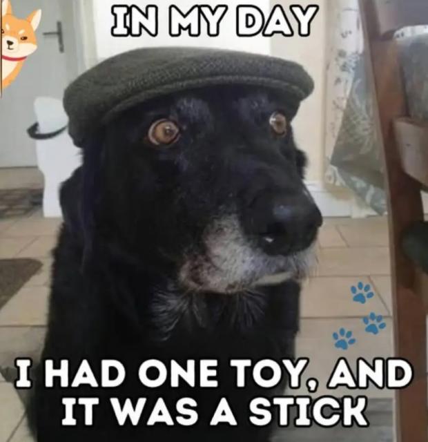 [Linked Image]
