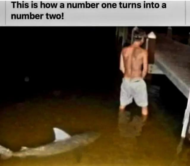 [Linked Image]