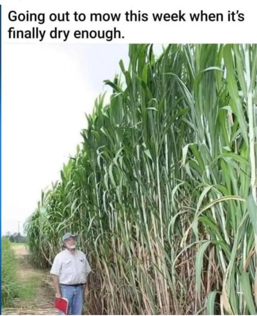 [Linked Image]