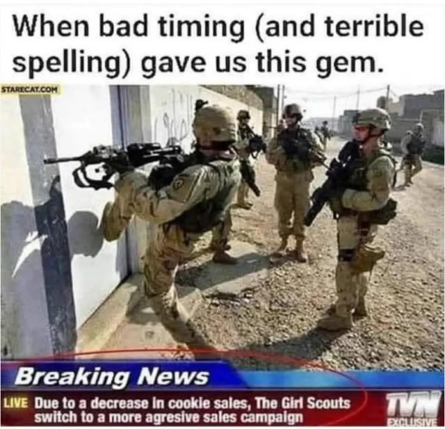 [Linked Image]
