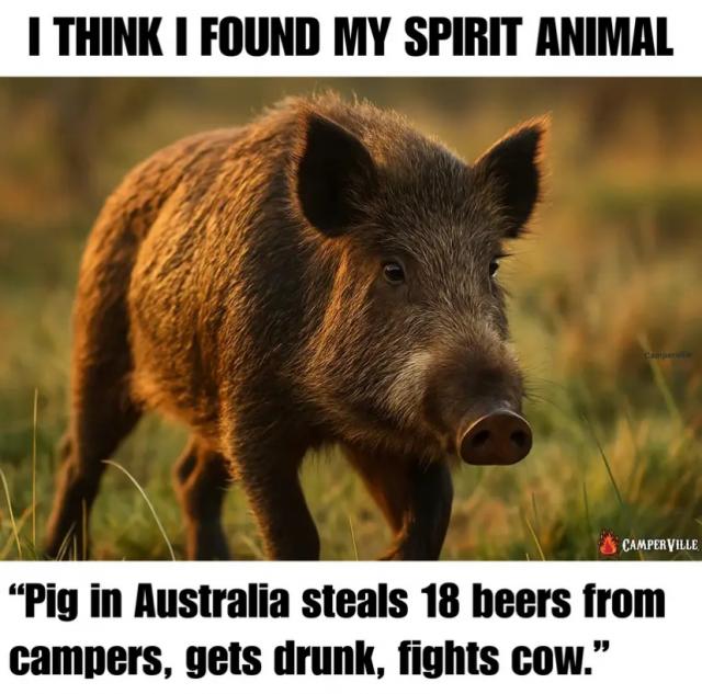 [Linked Image]