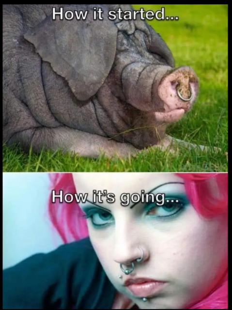 [Linked Image]