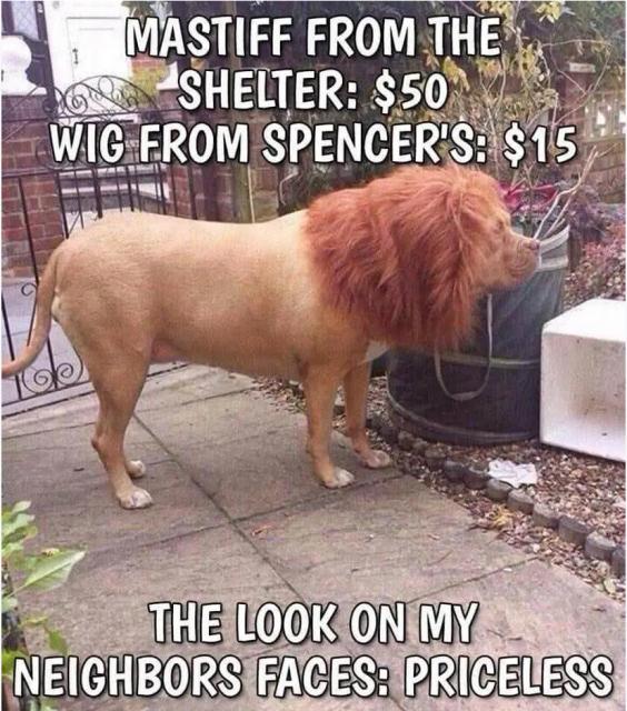 [Linked Image]