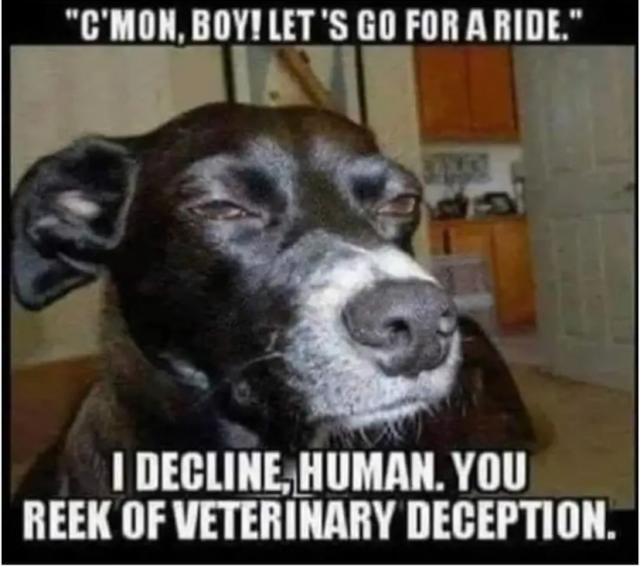 [Linked Image]
