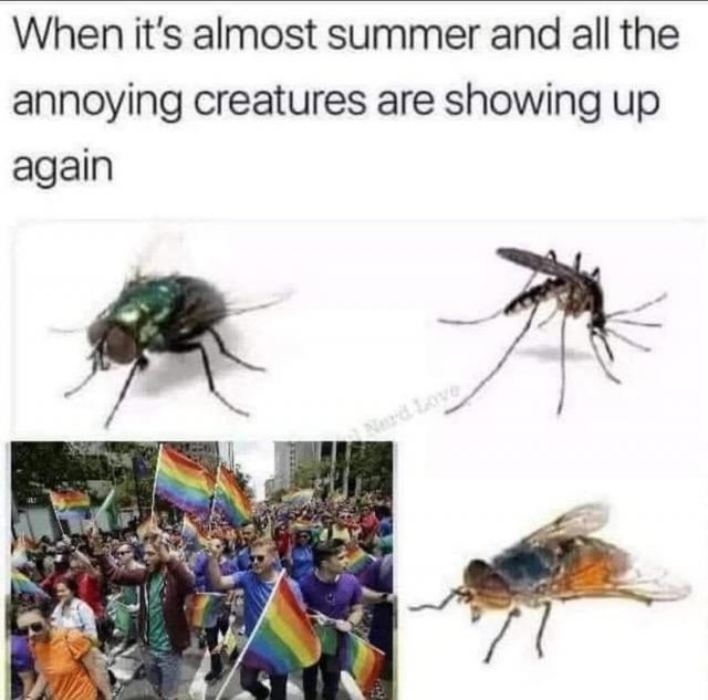 [Linked Image]