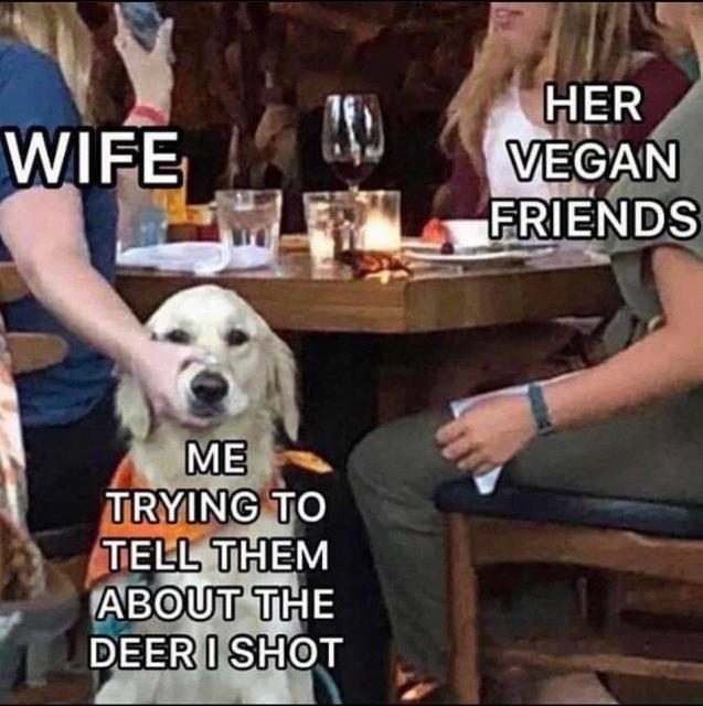 [Linked Image]