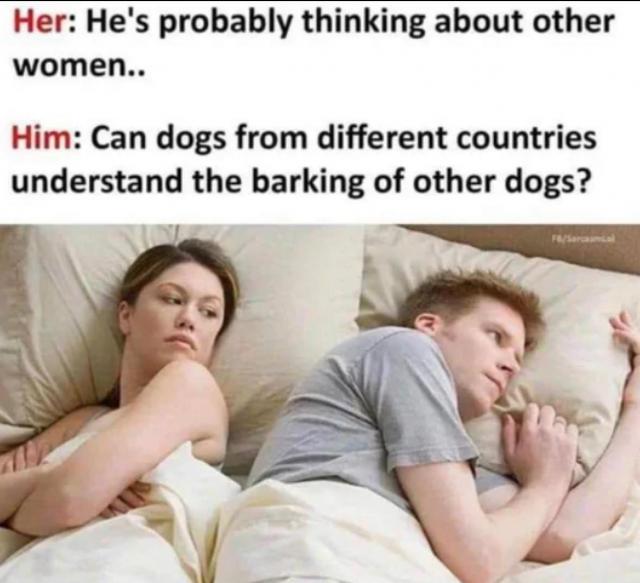 [Linked Image]