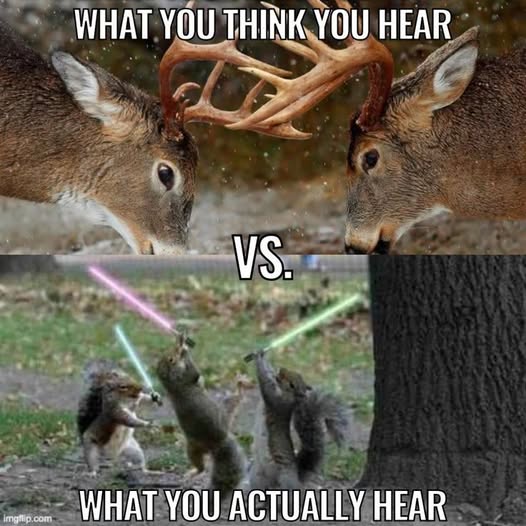 [Linked Image]