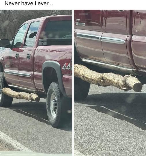 [Linked Image]