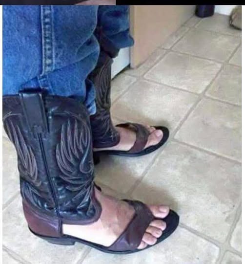 [Linked Image]