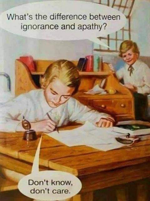 [Linked Image]