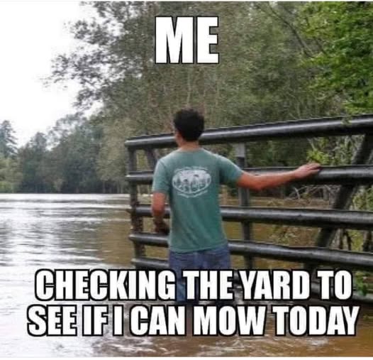 [Linked Image]