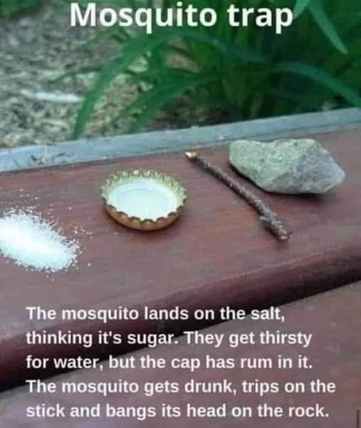 [Linked Image]