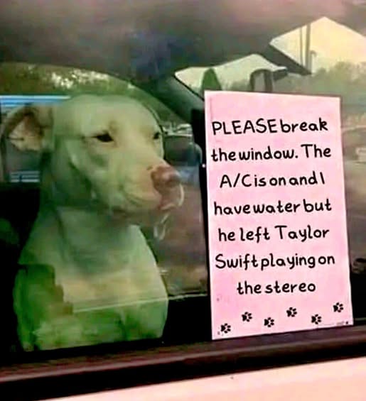 [Linked Image]