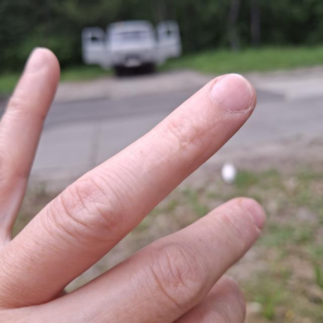 [Linked Image]