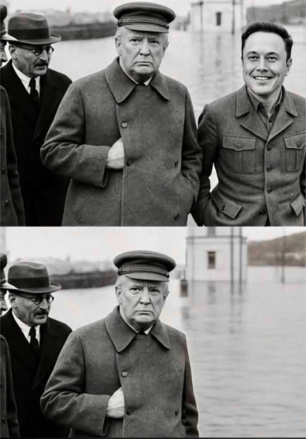 [Linked Image]
