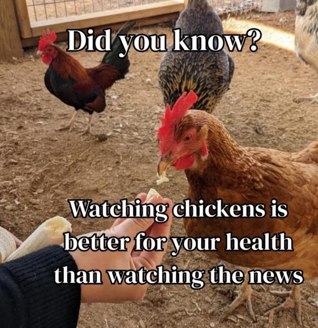 [Linked Image]