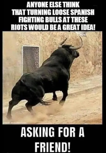 [Linked Image]