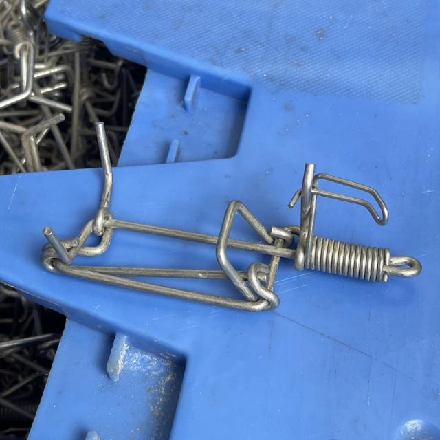 [Linked Image]