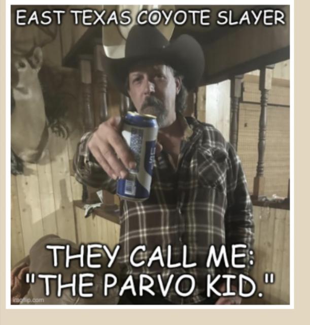 [Linked Image]