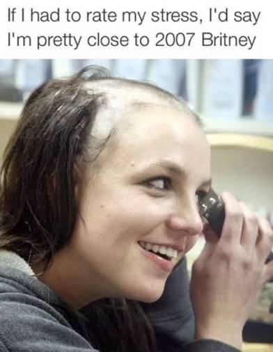 [Linked Image]