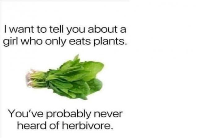 [Linked Image]