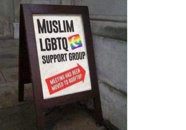 [Linked Image]