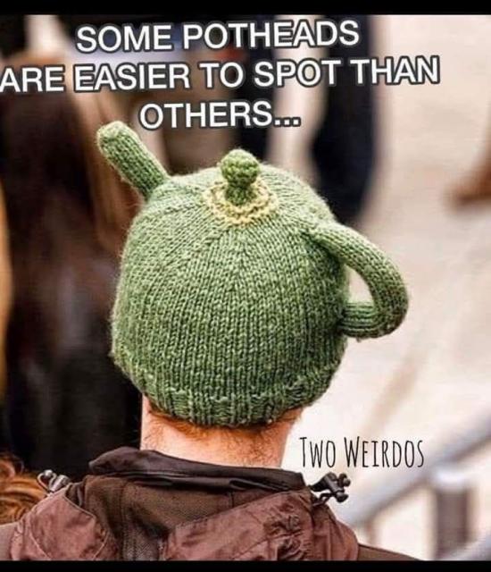 [Linked Image]