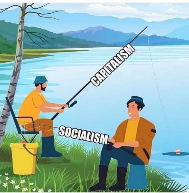 [Linked Image]