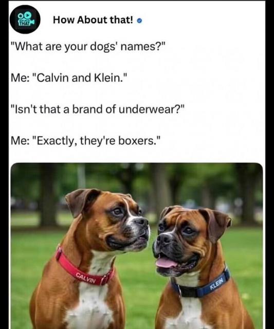 [Linked Image]