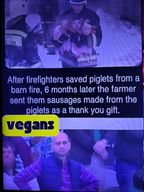[Linked Image]