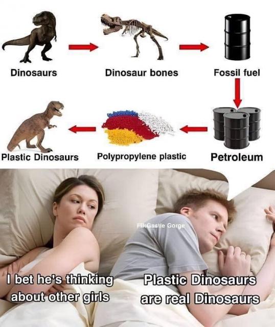 [Linked Image]