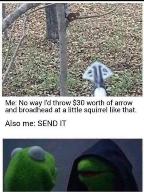 [Linked Image]