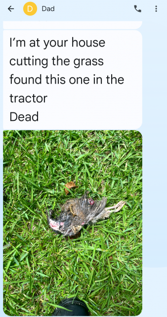 [Linked Image]