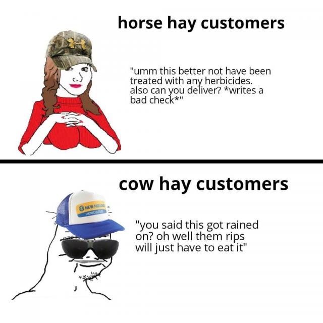 [Linked Image]