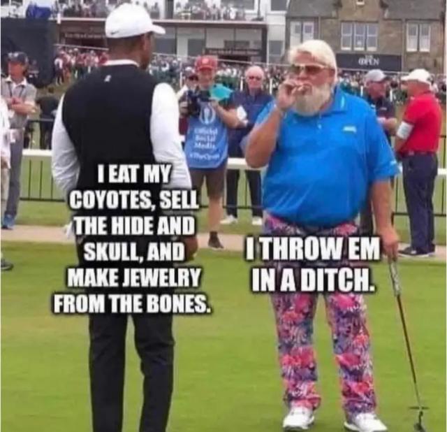 [Linked Image]