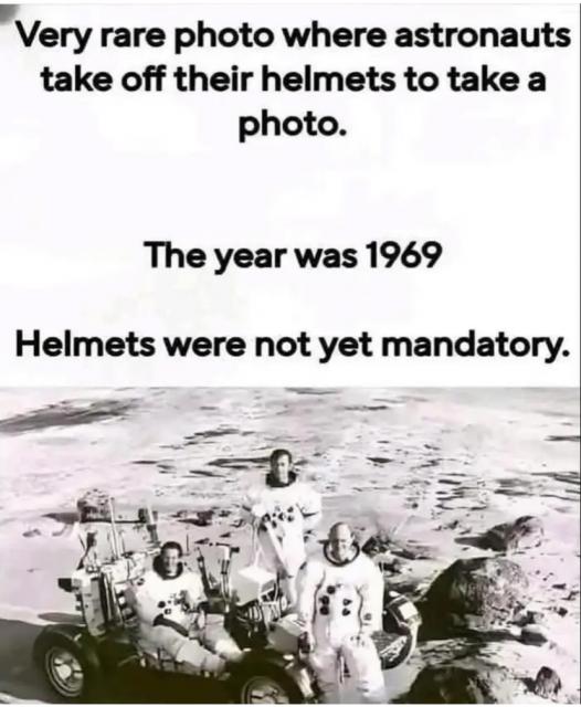 [Linked Image]