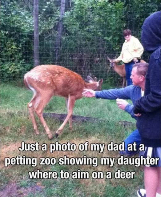 [Linked Image]