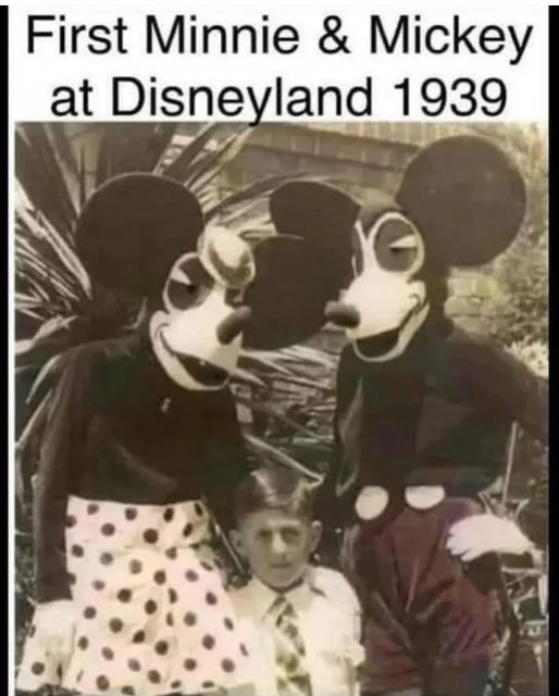 [Linked Image]
