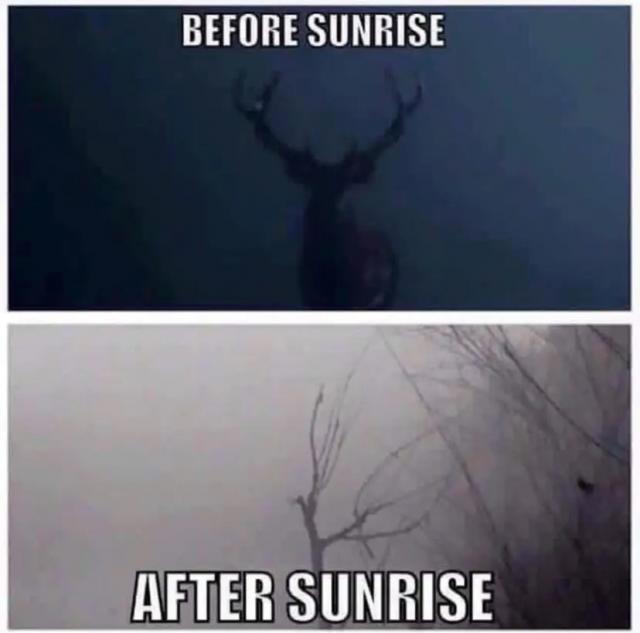 [Linked Image]
