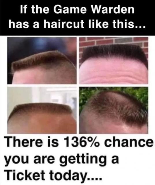 [Linked Image]