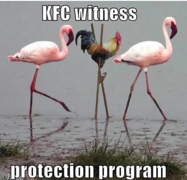 [Linked Image]